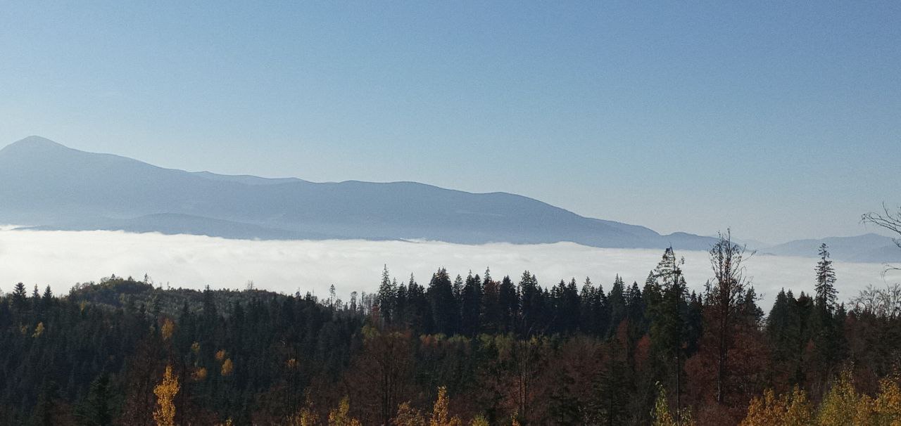 Придбання квартири через МОН